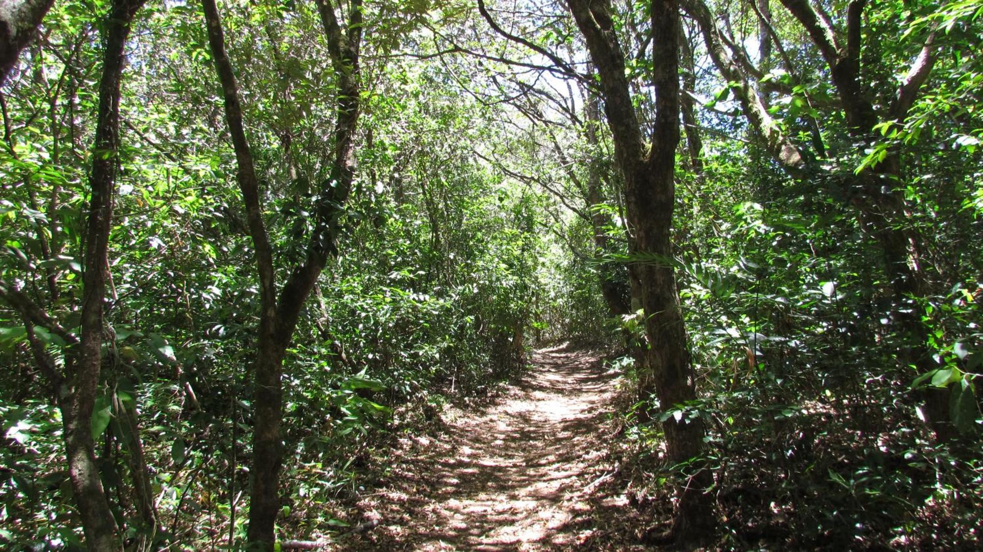 Santuario Ecologico Monteverde Extérieur photo