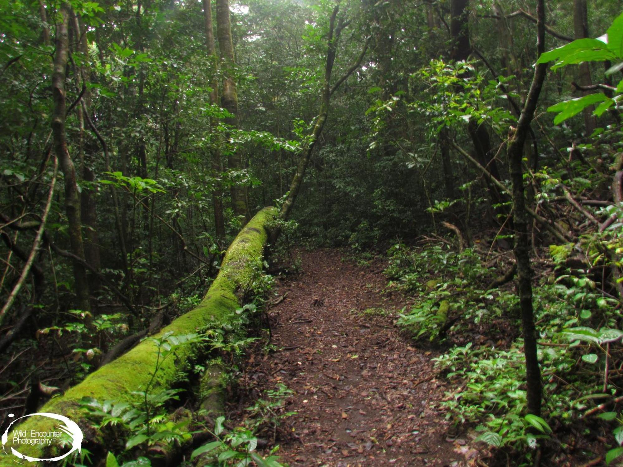 Santuario Ecologico Monteverde Extérieur photo